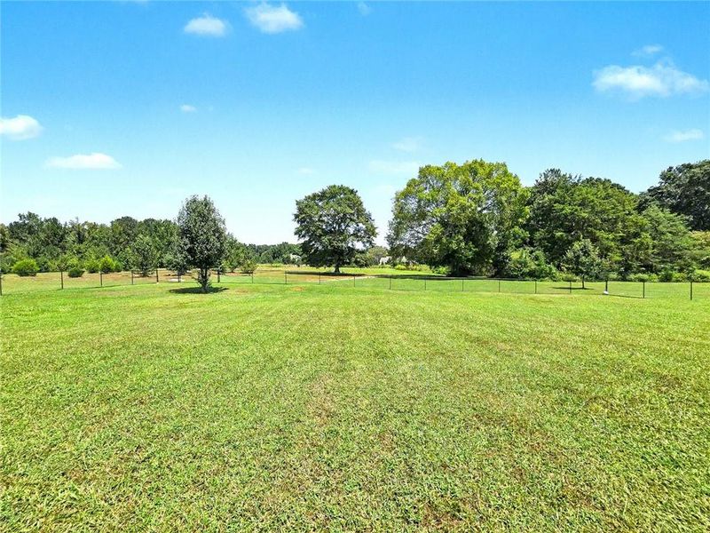 Natural landscape and outdoor views near  in Winterville (Image 19).