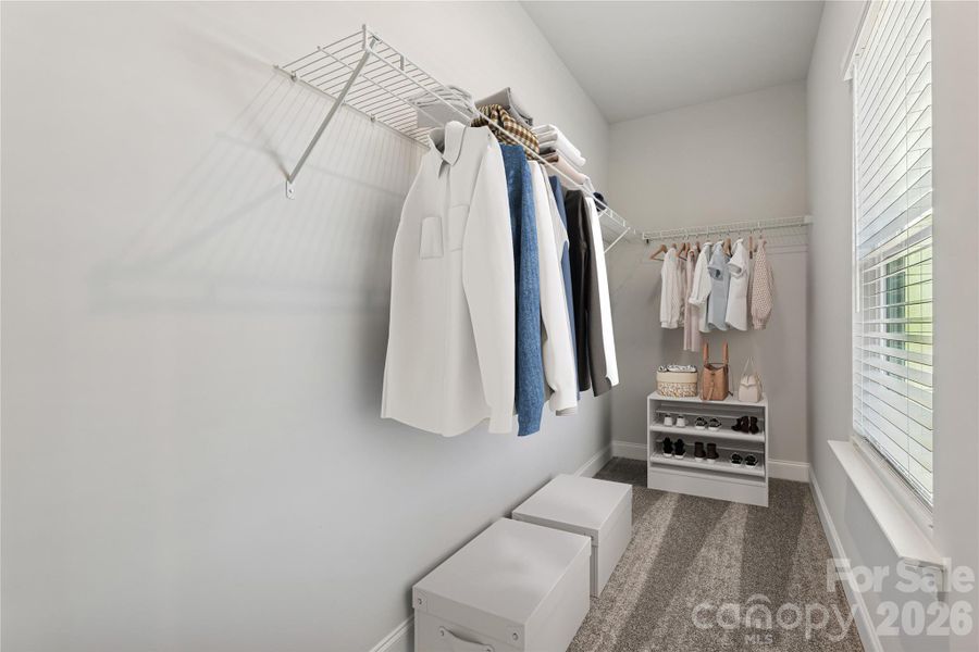 Example Photo Example Photo