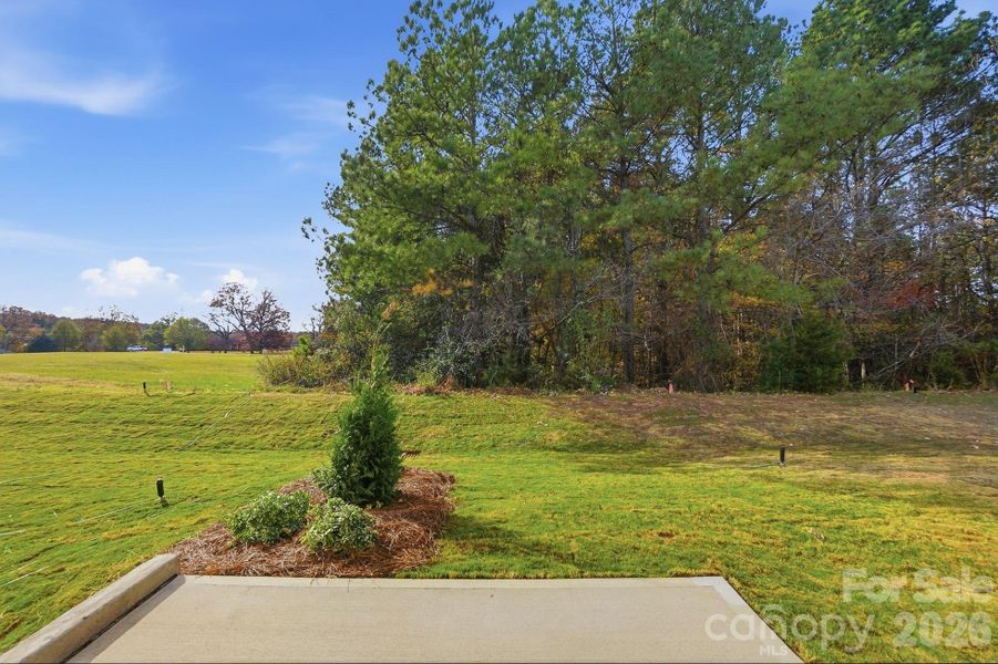 Natural landscape and outdoor views near  in Waxhaw (Image 38).