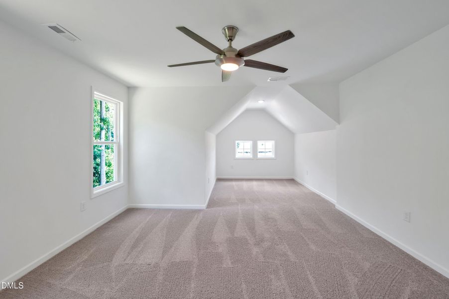 Media RoomBonus Room