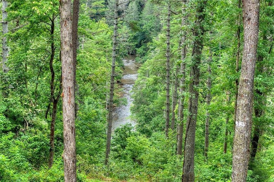 Natural landscape and outdoor views near  in Ellijay (Image 58).