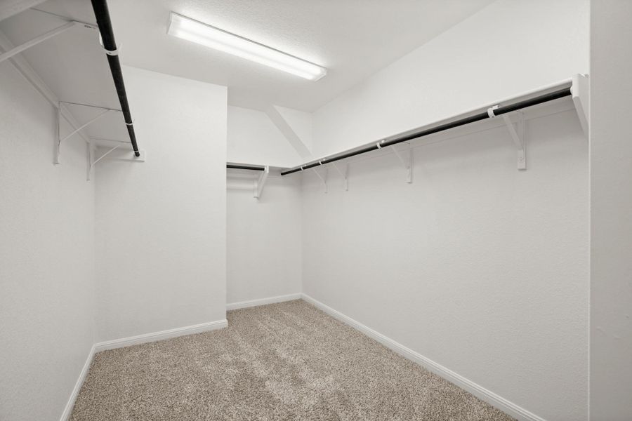 Walk in closet with carpet floors