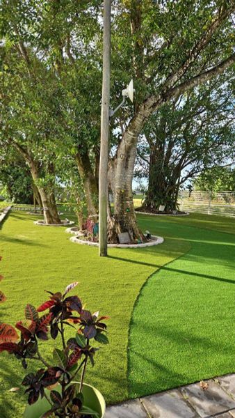 Natural landscape and outdoor views near  in Homestead (Image 38).