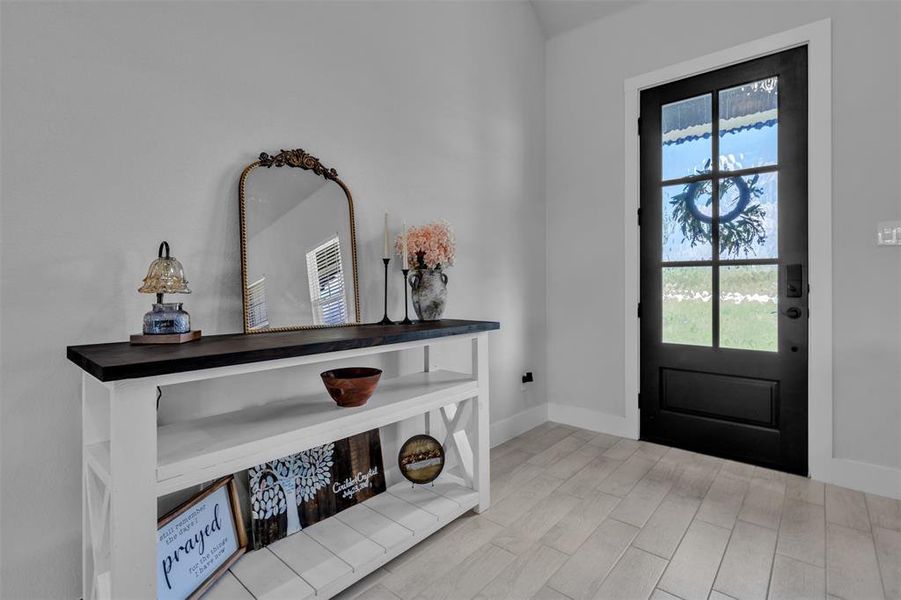 Black multi-pane entry door with light-colored plank flooring and white baseboards
