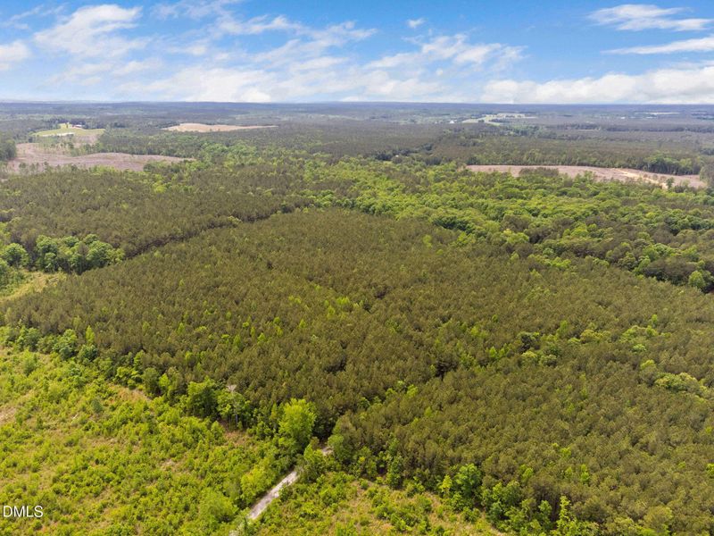 8-web-or-mls-s-plank-rd (1) 8-web-or-mls-s-plank-rd (1)