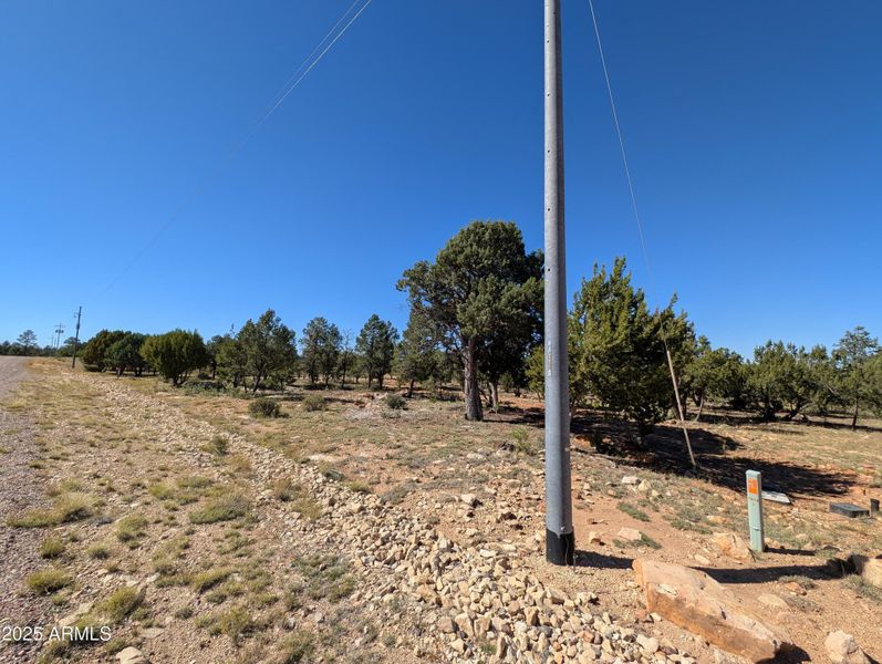 1000006430 1000006430