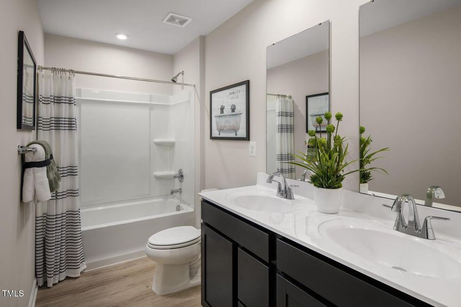 VM_HAZEL_SADDLE_CREEK_015 VM_HAZEL_SADDLE_CREEK_015