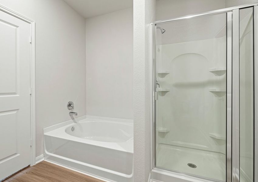 Tub and separate shower in the master bathroom