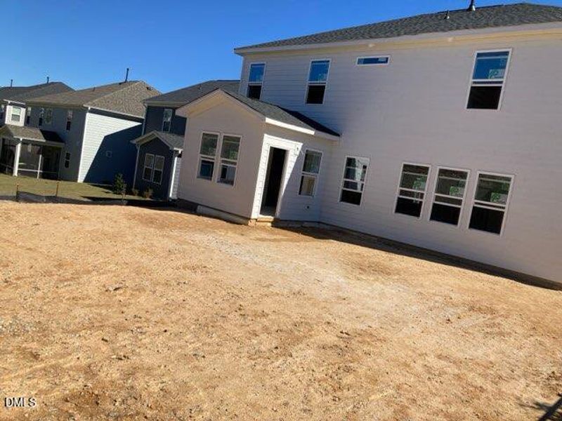 IMG_3161_Asya Lebeau IMG_3161_Asya Lebeau