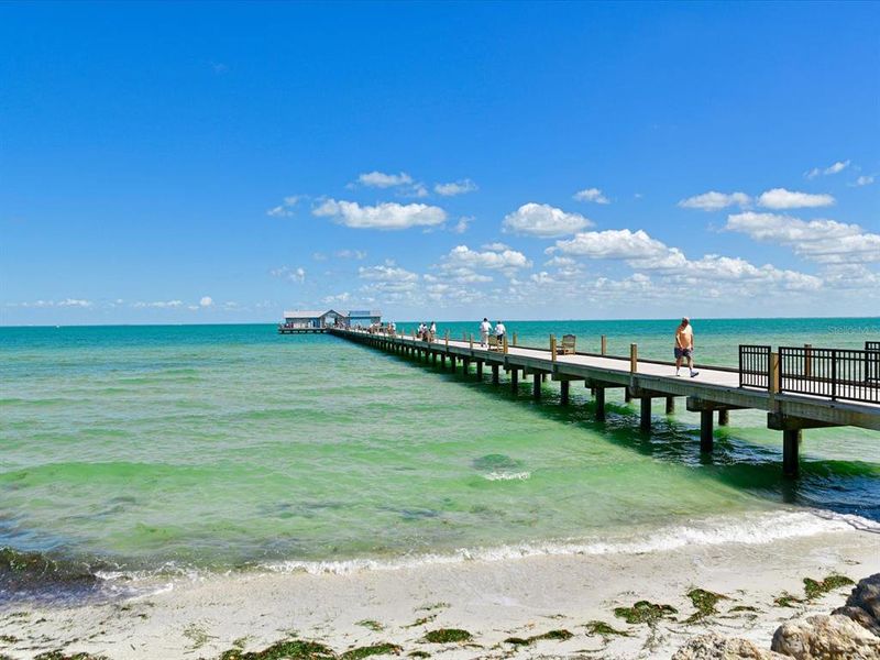 Natural landscape and outdoor views near  in Holmes Beach (Image 47).