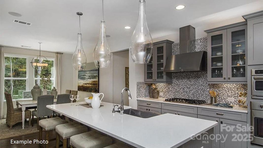 REPRESENTATIVE PHOTO