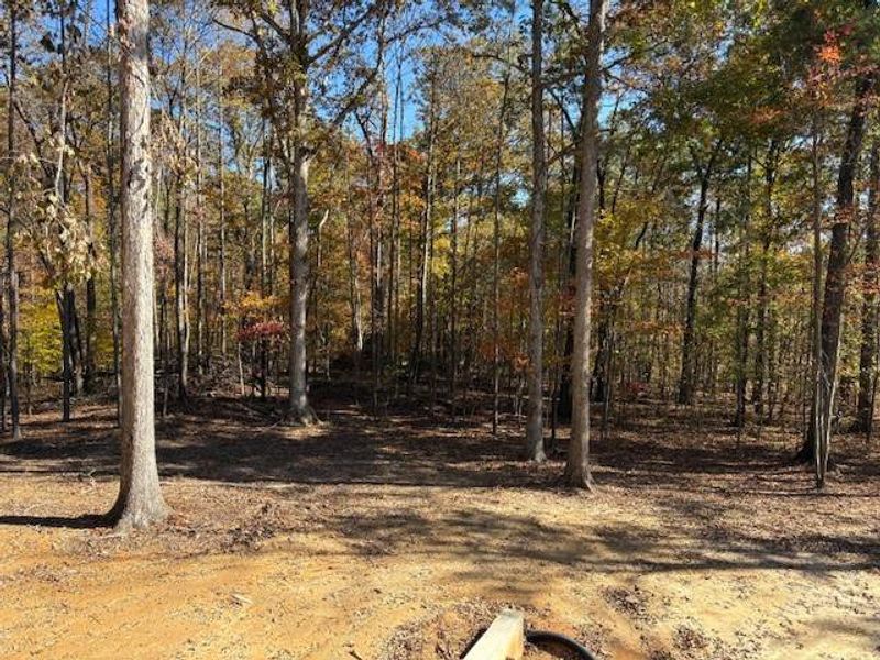 Natural landscape and outdoor views near in Jasper (Image 12). Natural landscape and outdoor views near in Jasper (Image 12).
