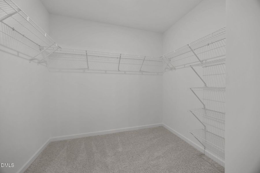 27-web-or-mls-6S8A6898