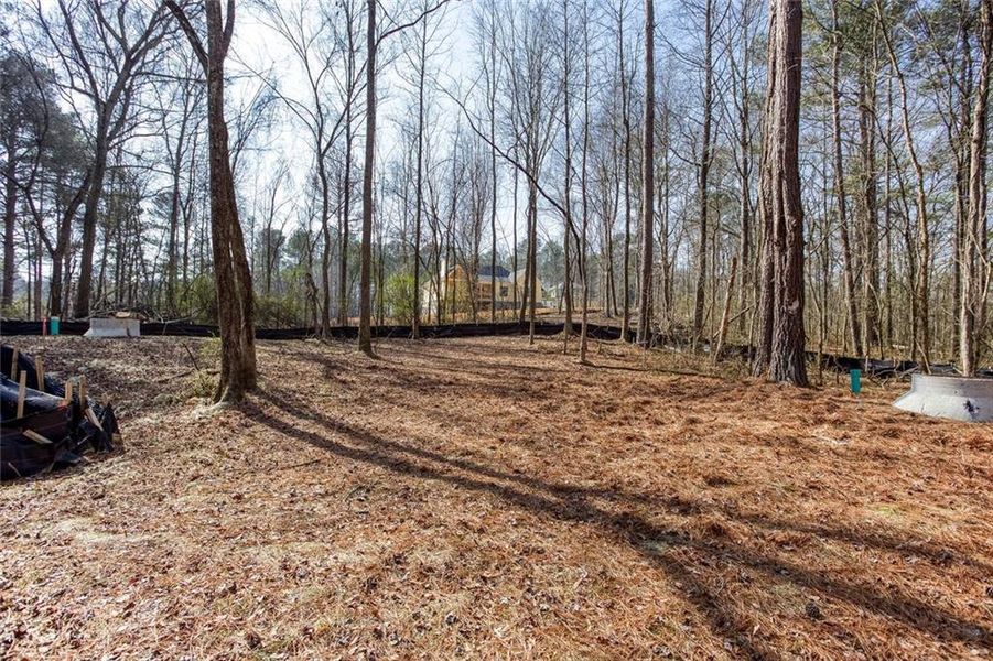 Natural landscape and outdoor views near  in Powder Springs (Image 42).