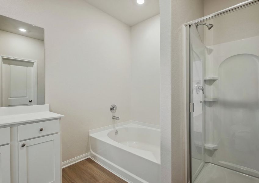 Step-in shower and tub in the master bathroom Step-in shower and tub in the master bathroom