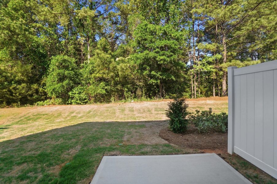 Exterior details and patio area of a home in Blythe Mill Townhomes, Waxhaw (Image 21).