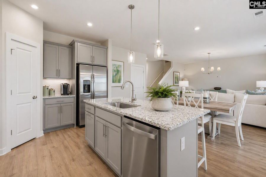 Furnished interior view inside a new home in Boykin Hills, Chapin (Image 9).