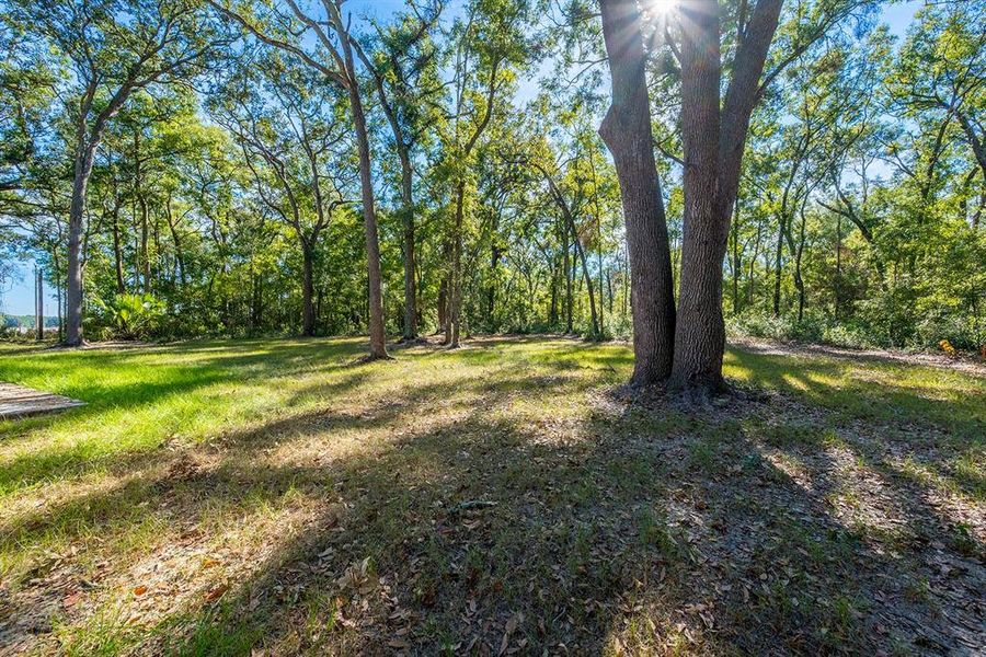 Natural landscape and outdoor views near  in Bell (Image 43).