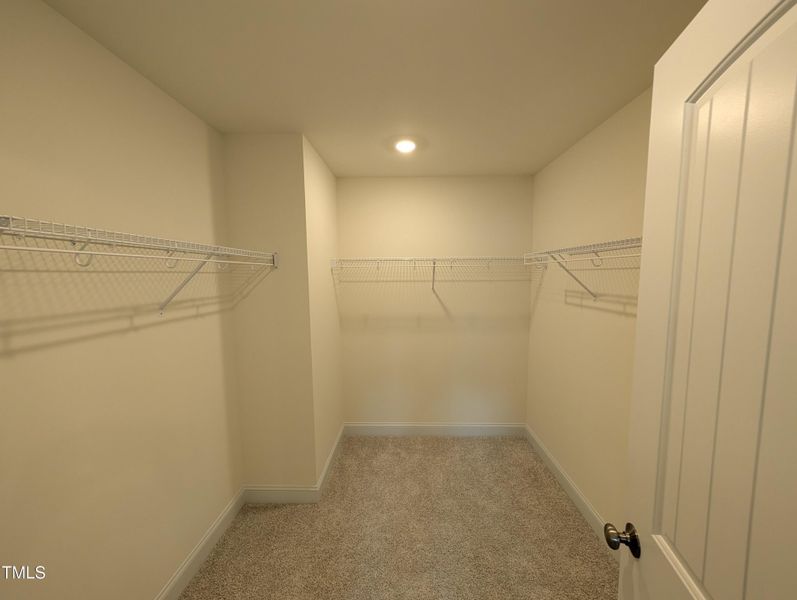 PXL_20250406_194229188