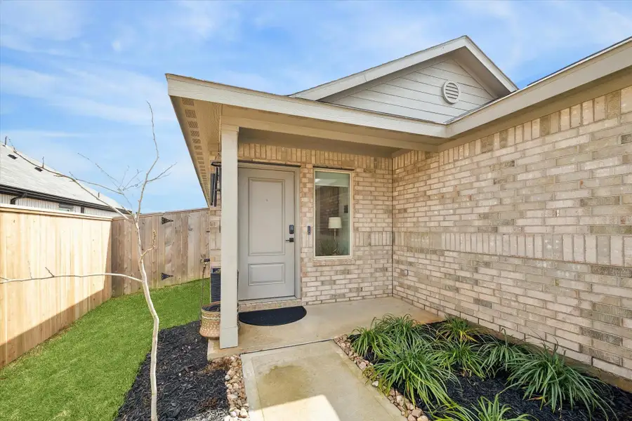 When that tree grows up and leaves out we will have shade and a nice view from the front door When that tree grows up and leaves out we will have shade and a nice view from the front door