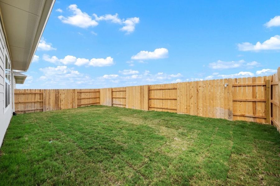 Backyard Backyard