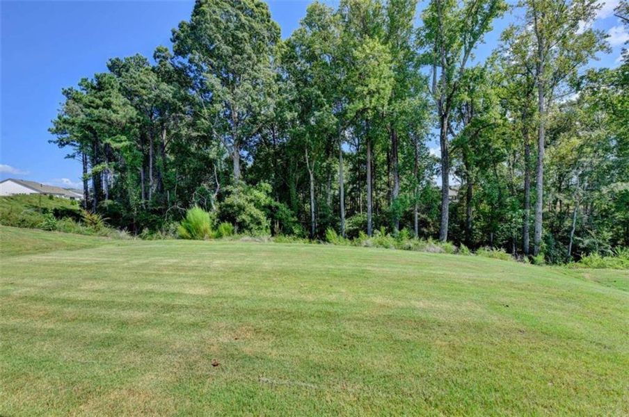 Natural landscape and outdoor views near  in Hoschton (Image 48).