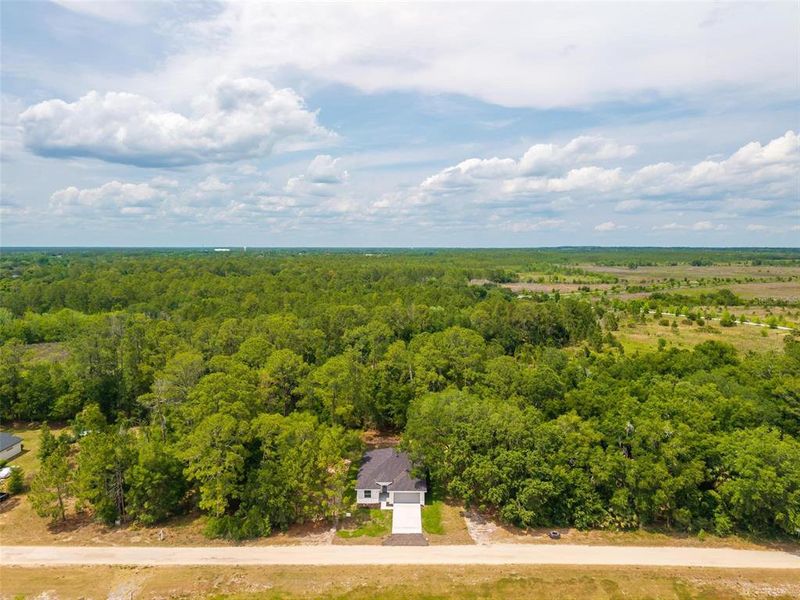 Natural landscape and outdoor views near  in Eustis (Image 53).