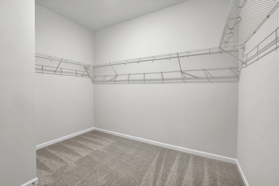 Spacious, unfurnished interior of a new home in River Tide Farms, Bolivia (Image 19).