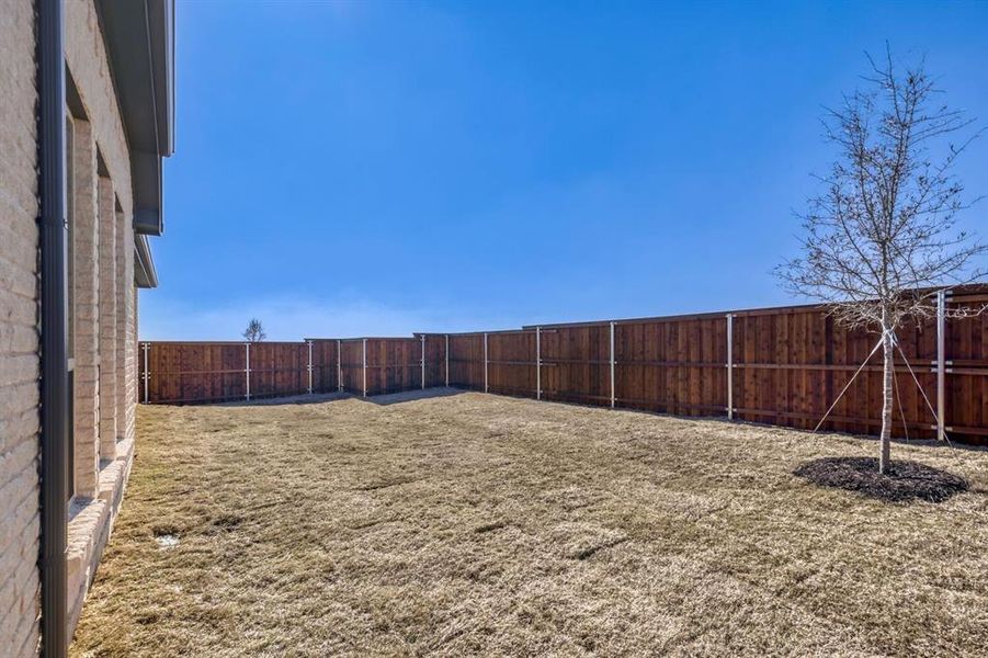 View of fenced backyard