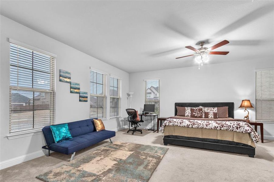 Carpeted bedroom with a ceiling fan and baseboards