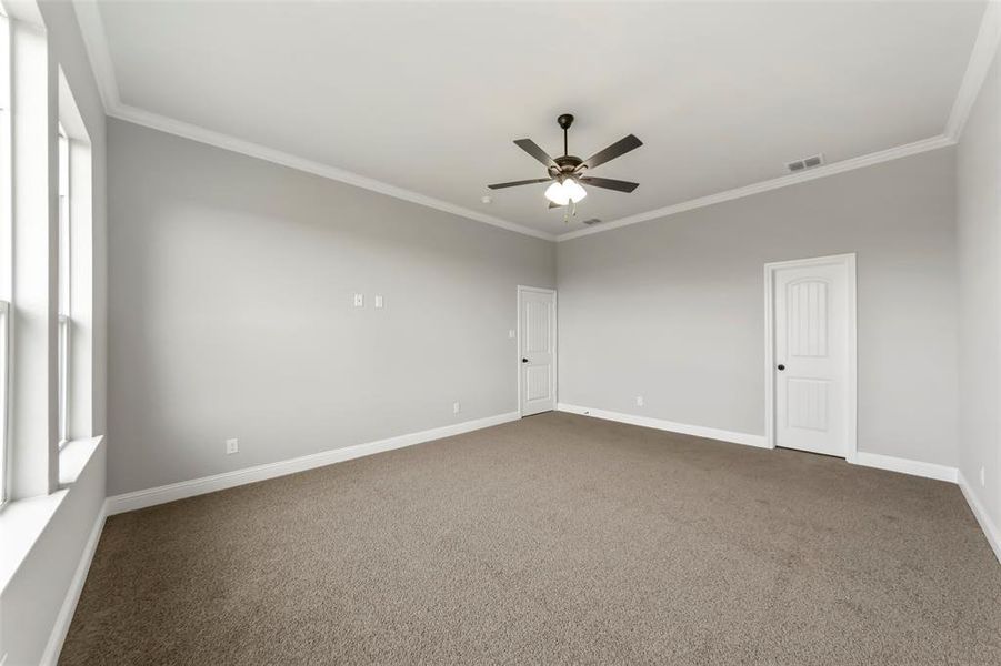 Carpeted empty room with ceiling fan, ornamental molding, and a wealth of natural light