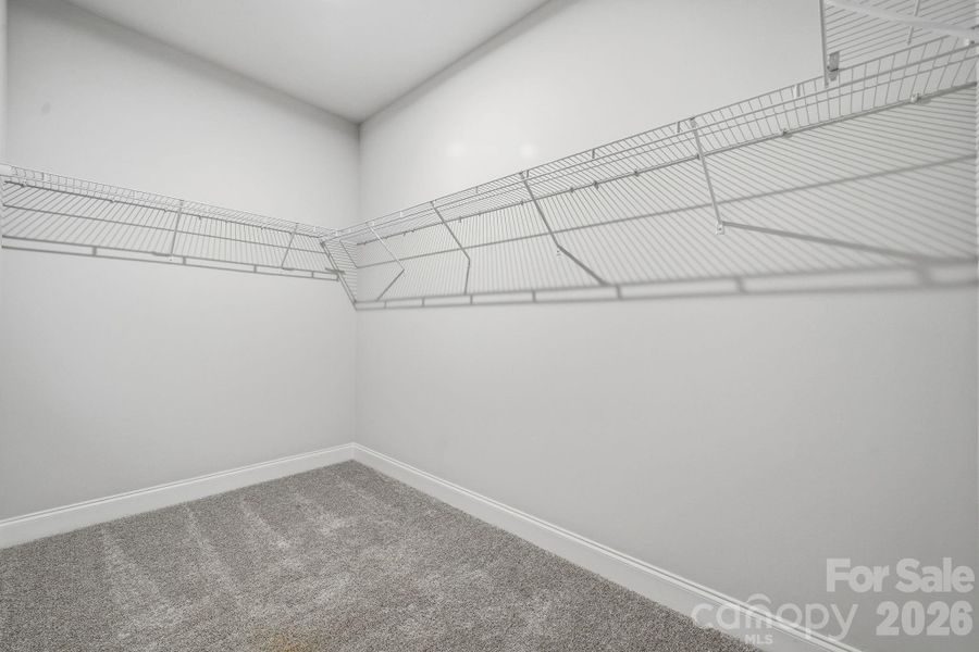 Example Photo Example Photo