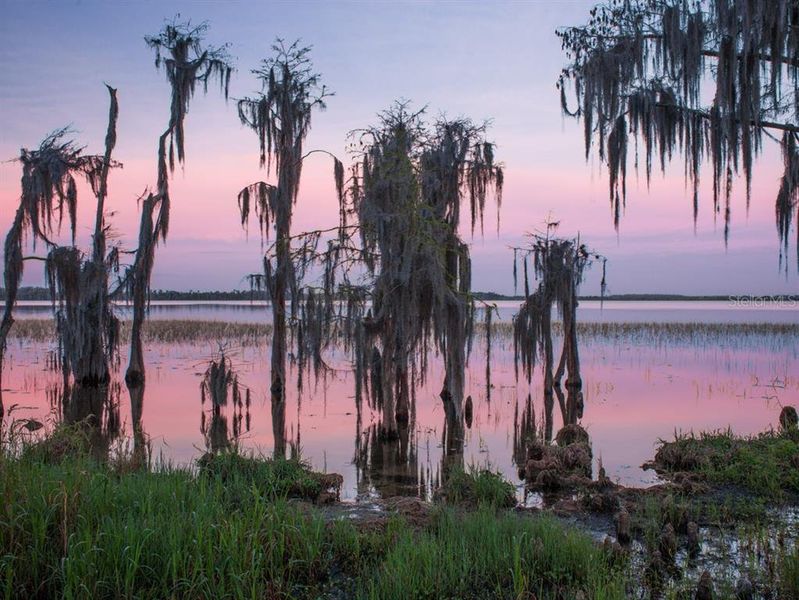 Natural landscape and outdoor views near  in Orlando (Image 51).