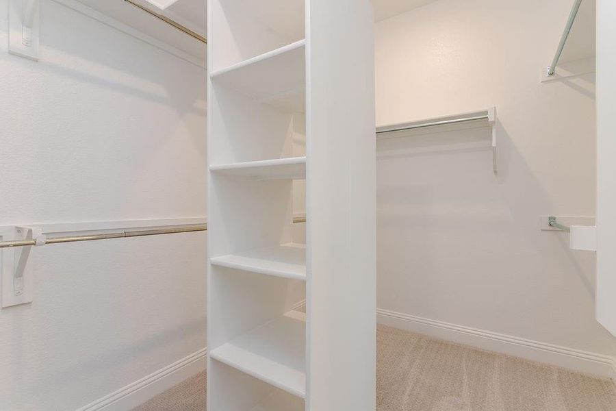 Walk in closet with light colored carpet