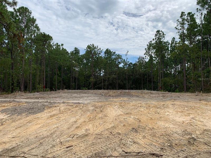 Actual home site- taken 8/29/2025