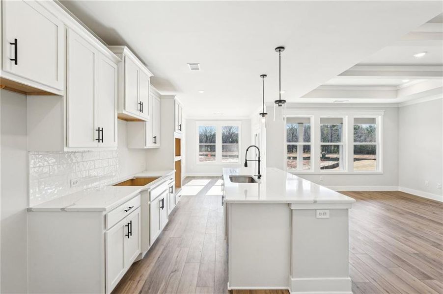 Furnished interior view inside a new home in Fowler Farms, Auburn (Image 7).
