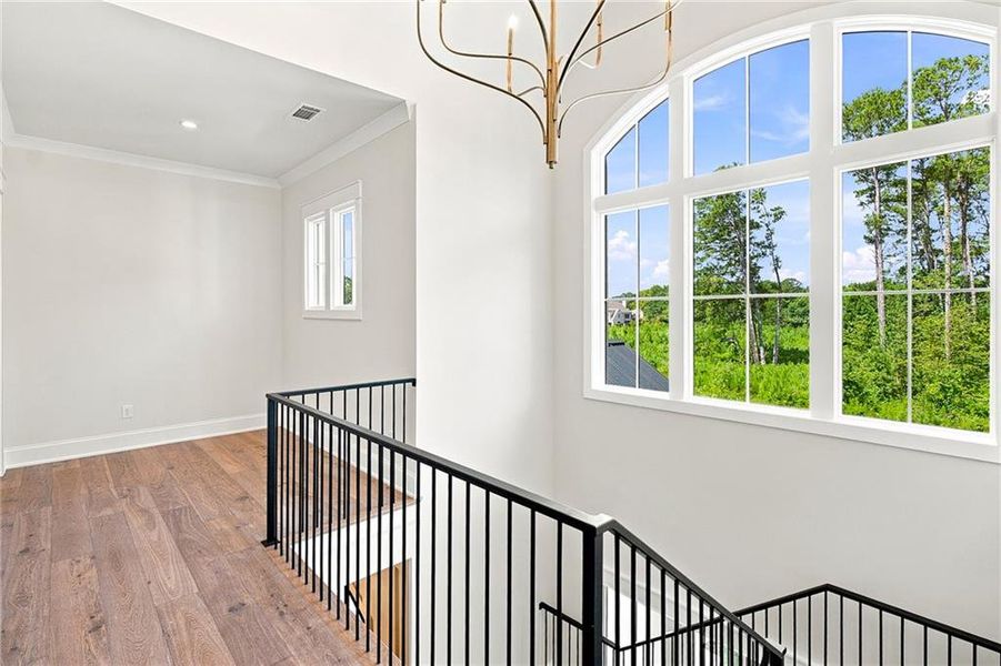 Spacious, unfurnished interior of a new home in , Milton (Image 56).