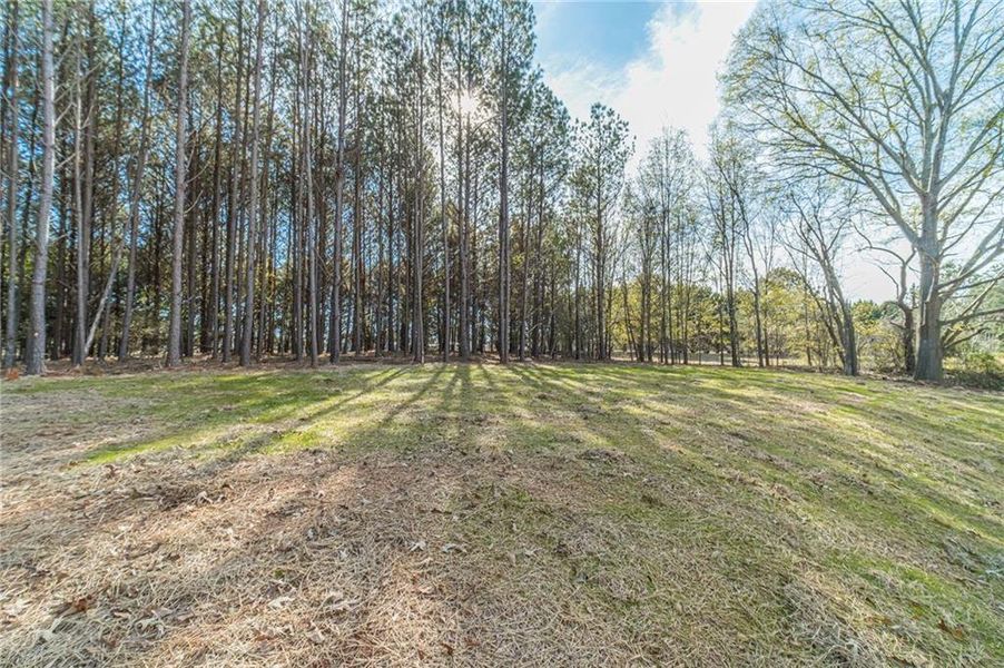 Natural landscape and outdoor views near  in Monroe (Image 42).