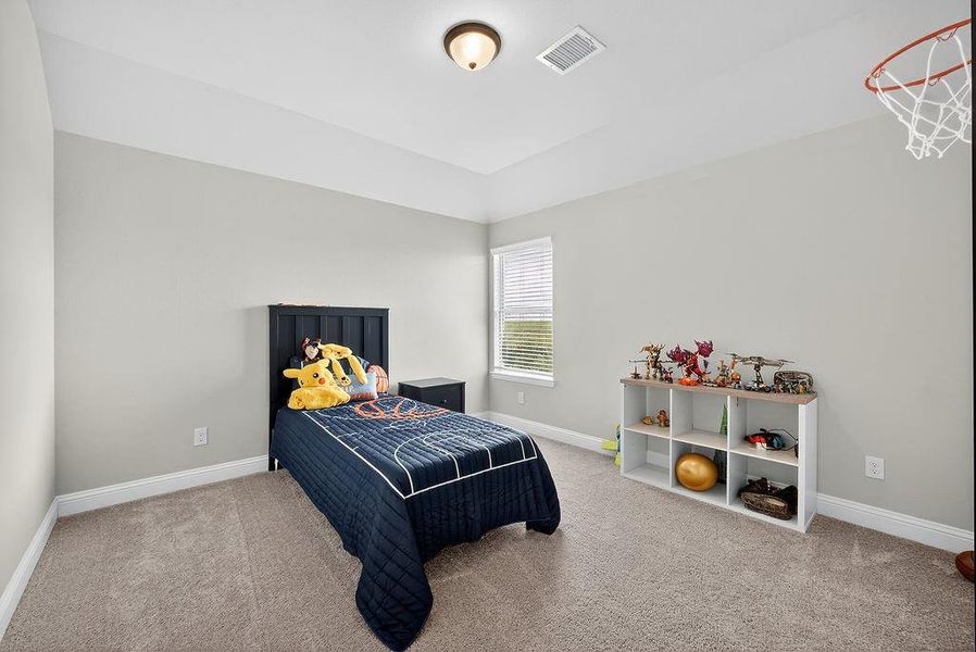 Bedroom featuring neutral carpeting, light gray walls, a tray ceiling, and a window with blinds