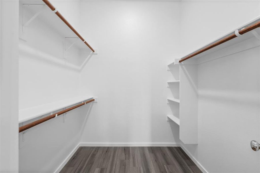 Spacious closet featuring dark wood-type flooring