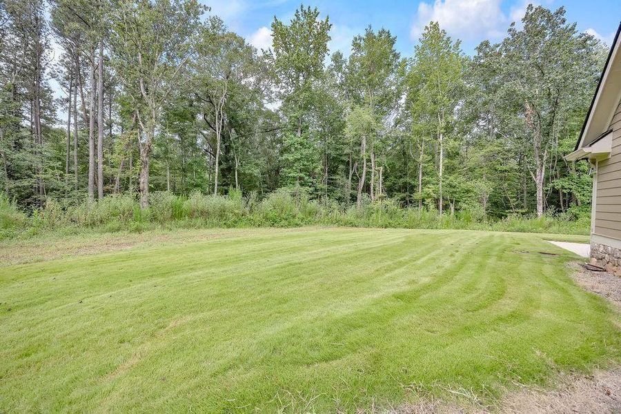 Natural landscape and outdoor views near  in Canton (Image 30).