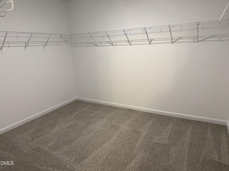 Photo Nov 22 2025, 1 01 17 PM