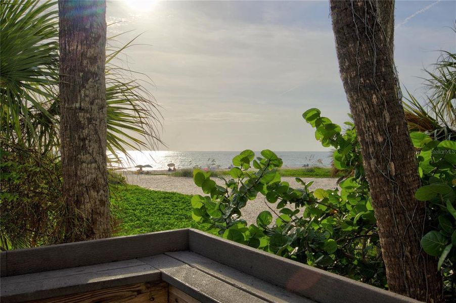 Natural landscape and outdoor views near  in Nokomis (Image 66).