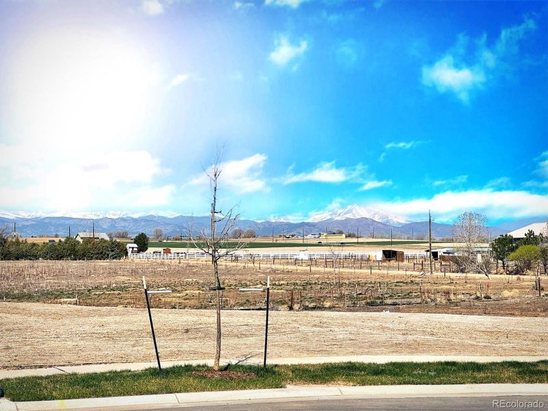 Site preparation for new homesites in Parkdale: Paired Homes, Erie (Image 34).