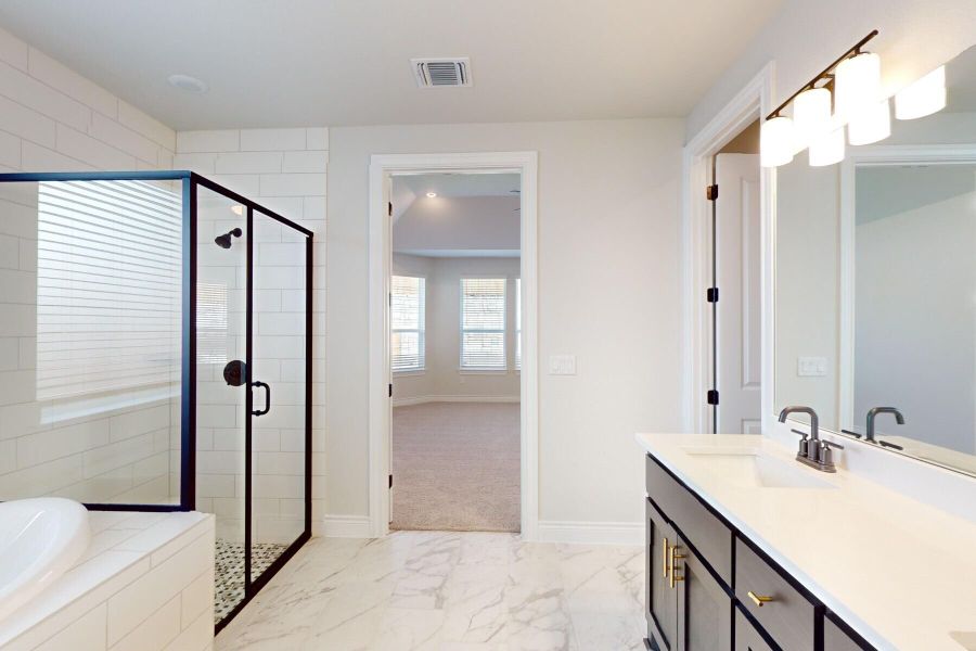 Owner's Bathroom