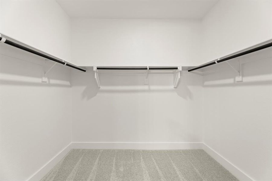 19. 3124 Lenten Rose - Closet