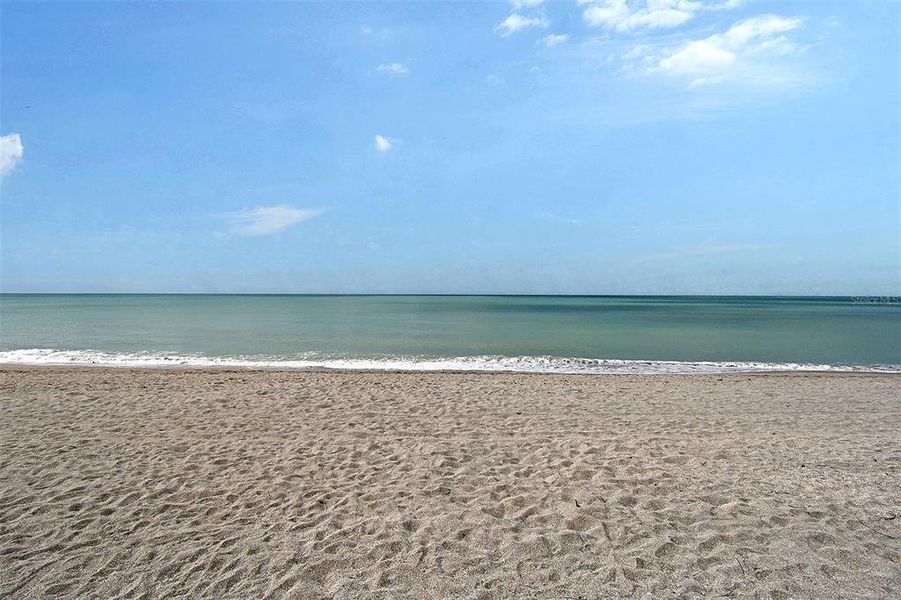 Natural landscape and outdoor views near  in Sarasota (Image 8).