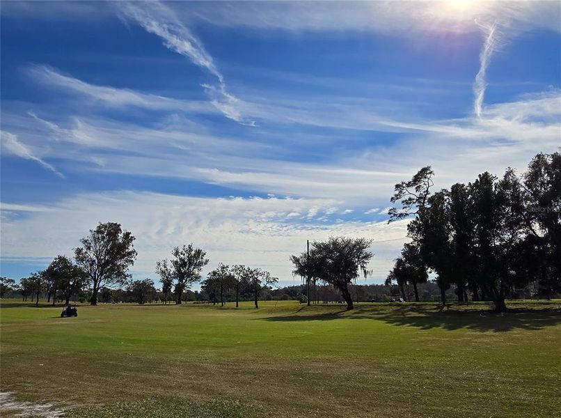 Tarpon Golf course