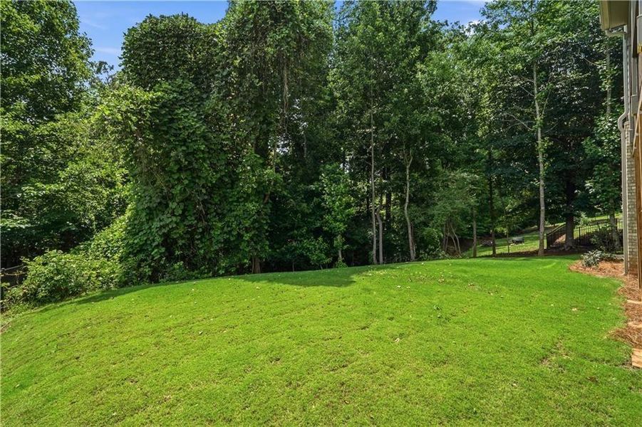 Natural landscape and outdoor views near  in Jefferson (Image 68).