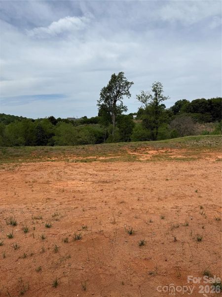 Backyard, no house directly behind